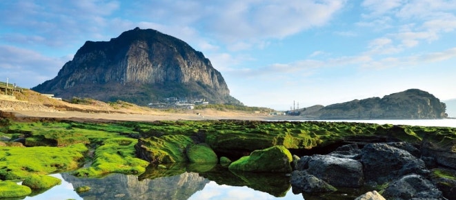 허니문 제주도 특가